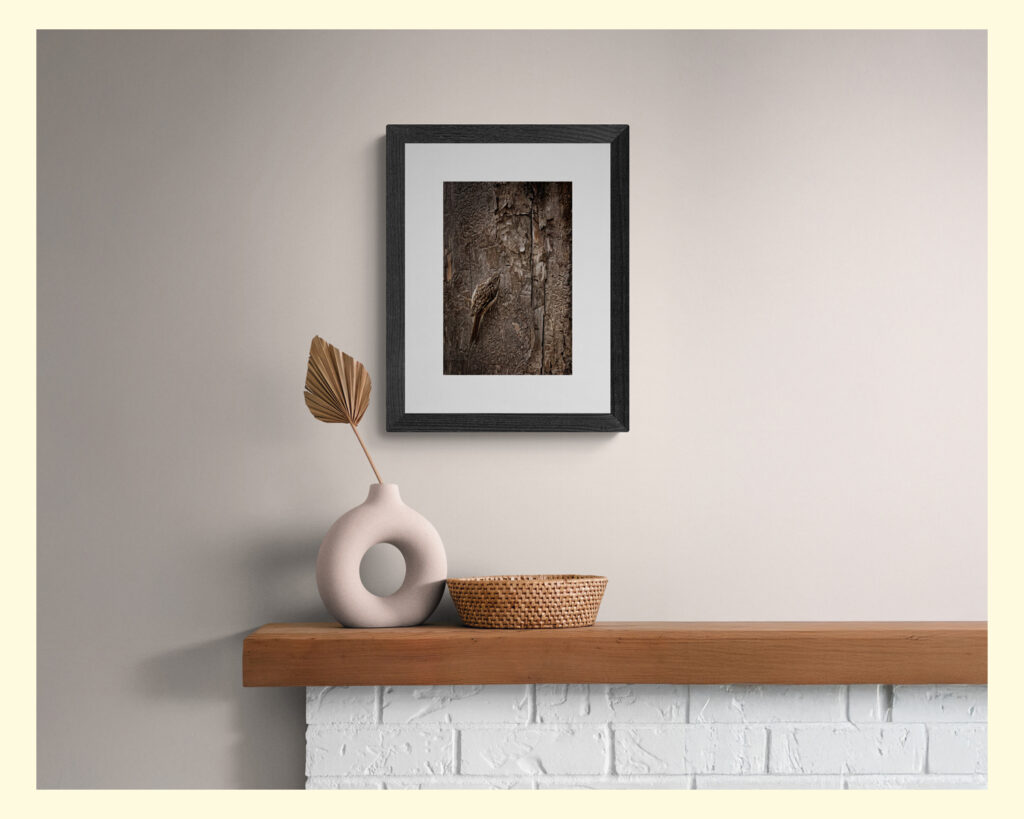 Seana Dowling Photography Beautiful wall art of a Brown Creeper bird on a neutral wall over a fireplace