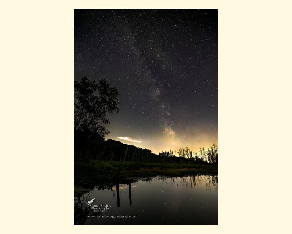 Seana Dowling Photography Nature Photography Milky Way over water