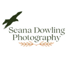 Seana Dowling Photography Loto Hawk Gold Ferns